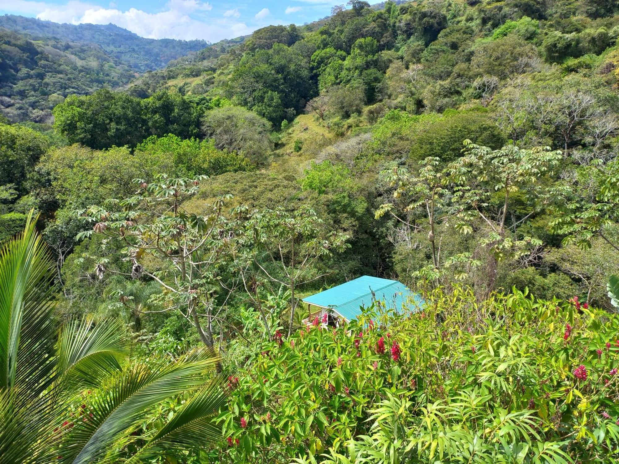 فيلا Casa El Colibri Naranjo  المظهر الخارجي الصورة